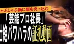 爆料日本娱乐公司,独家爆料背后的惊人内幕